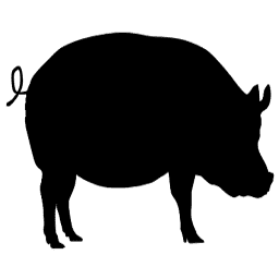 小猪班纳